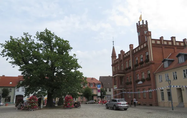 Rathaus und Friedenseiche am Marktplatz in Kyritz